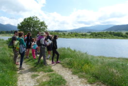 Sentier lac de Réal