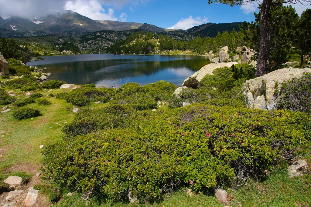 Les Bouillouses Parc naturel régional des Pyrénées catalanes